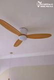  Quạt trần đèn 3 cánh cổ ngắn QTD071 