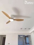 Quạt trần đèn 3 cánh cổ ngắn QTD071 
