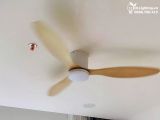  Quạt trần đèn 3 cánh cổ ngắn QTD071 