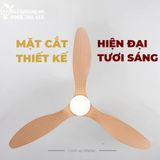  Quạt trần đèn 3 cánh cổ ngắn QTD071 