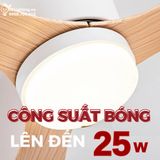  Quạt trần đèn 3 cánh cổ ngắn QTD071 