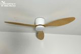  Quạt trần đèn 3 cánh cổ ngắn QTD071 