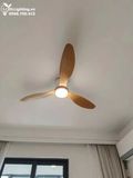  Quạt trần đèn 3 cánh cổ ngắn QTD071 