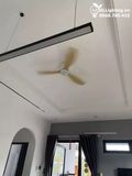  Quạt trần đèn 3 cánh cổ ngắn QTD071 