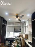  Quạt trần đèn 3 cánh cổ ngắn QTD072 