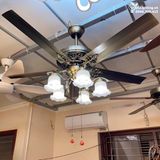  Quạt trần đèn tân cổ điển QTCD008 
