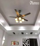  Quạt trần đèn tân cổ điển QTCD008 