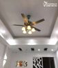  Quạt trần đèn tân cổ điển QTCD008 