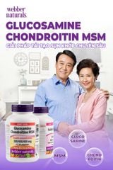 Viên uống bổ khớp Webber Naturals Glucosamine Chondroitin MSM 120 viên