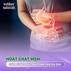 Viên uống bổ khớp Webber Naturals Glucosamine Chondroitin MSM 120 viên