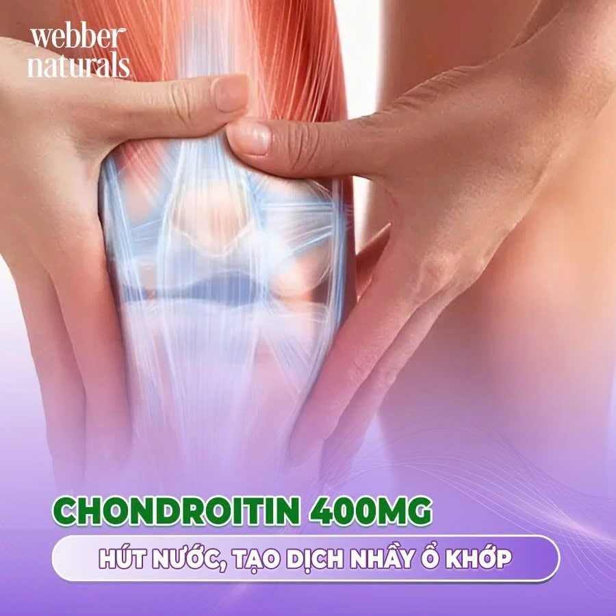 Viên uống bổ khớp Webber Naturals Glucosamine Chondroitin MSM 120 viên
