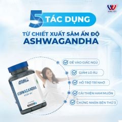 Applied Nutrition ASHWAGANDHA 60 Viên (60 Servings) | Nhân Sâm Ấn Độ