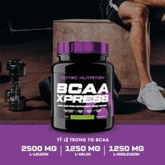 Scitec Nutrition BCAA Xpress 40 Lần Dùng | Chống Mất Cơ Bắp