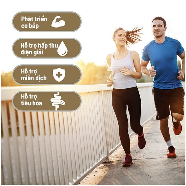 Applied Nutrition Complete Protein 450g (15 Servings) | Whey Protein Thêm Vitamin Tổng Hợp