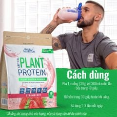 Applied Nutrition Critical Plant - Đạm Thực Vật | 15 Lần Dùng