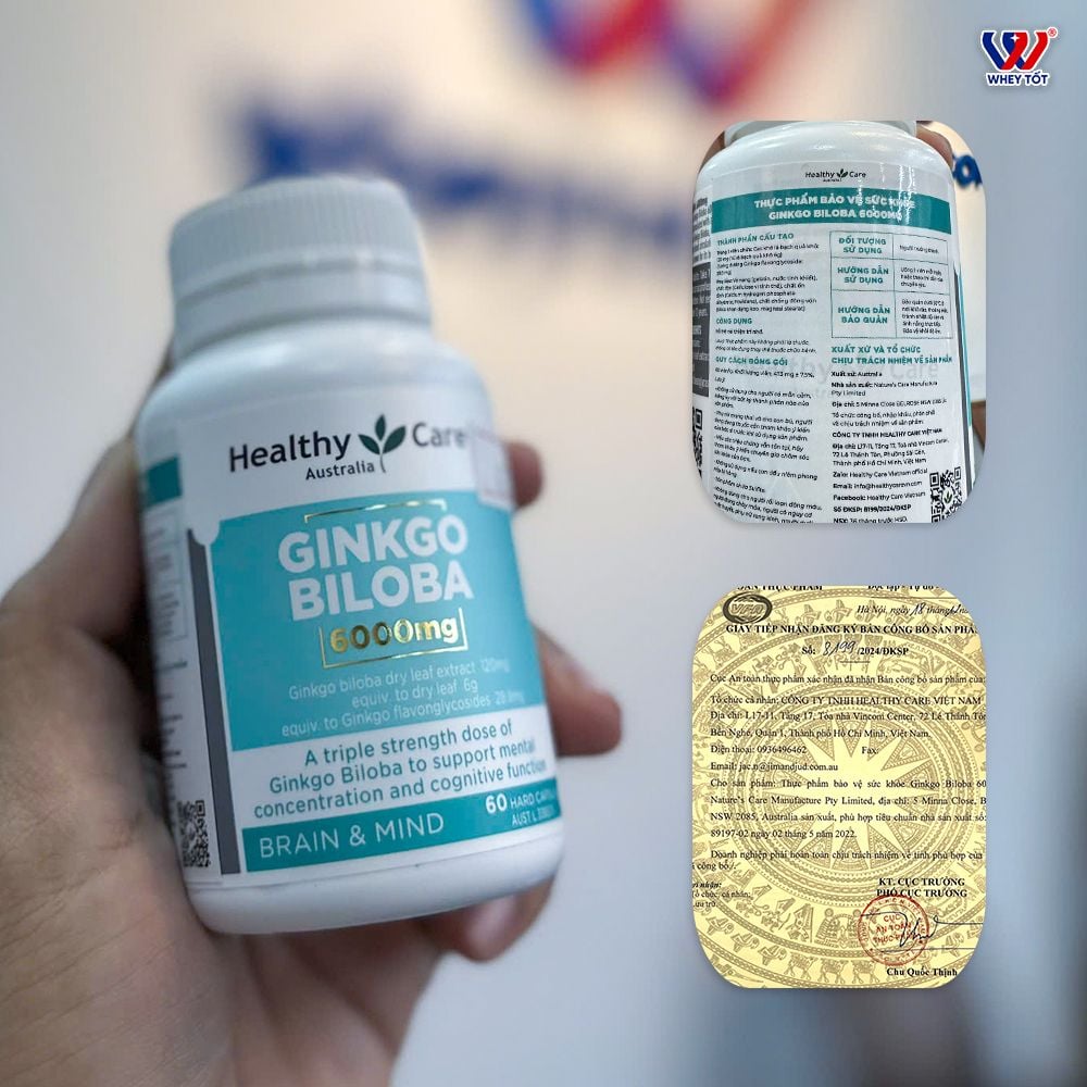 Healthy Care Ginkgo Biloba 6000mg | Cải Thiện Trí Nhớ 60 Viên