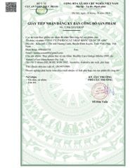 Healthy Care Ginkgo Biloba 2000 | Viên uống bổ não Úc