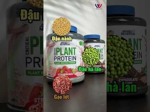 Applied Nutrition Critical Plant - Đạm Thực Vật 1.8kg 60 Lần Dùng