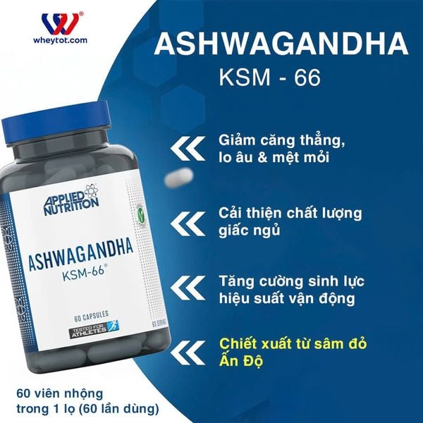 Applied Nutrition Ashwagandha KSM-66 300mg 60 Viên (60 Servings)