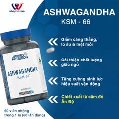 Applied Nutrition Ashwagandha KSM-66 300mg 60 Viên (60 Servings)