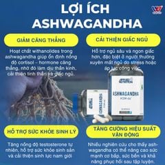 Applied Nutrition Ashwagandha KSM-66 300mg 60 Viên (60 Servings)