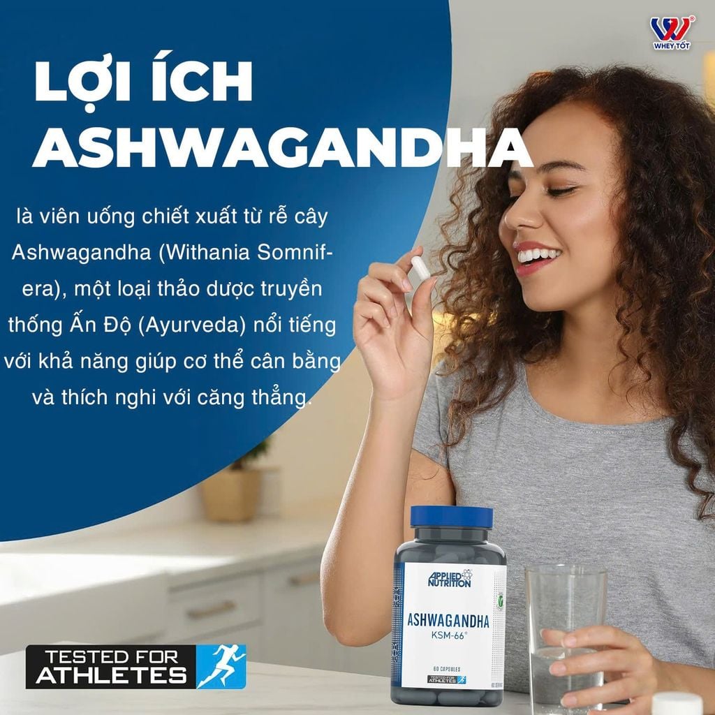 Applied Nutrition Ashwagandha KSM-66 300mg 60 Viên (60 Servings)