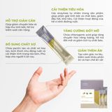 BỘT XƠ DETOX BACK TO 17 EVOLSENSE HỘP 30 GÓI