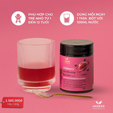 Children's GutBiome Builder Harker Herbals - Bột cải thiện hệ tiêu hóa cho trẻ