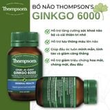 Viên Uống Bổ Não Tăng Cường Trí Nhớ, Giảm Đau Đầu Chóng Mặt Thompson’s One-A-Day Ginkgo 6000mg (60 Viên)