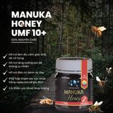 Mật Ong Manuka UMF 10+