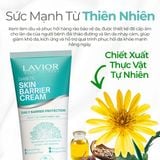 Kem Dưỡng Da Cho Người Tiểu Đường LAVIOR Diabetic Skin Barrier Cream 100ml