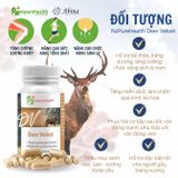 Viên Uống Nhung Hươu NZ Pure Health Deer Velvet 500mg - Hỗ Trợ Tăng Cường Sinh Lực, Phục Hồi Cơ Bắp, Tăng Sức Đề Kháng Và Sức Khỏe Xương Khớp