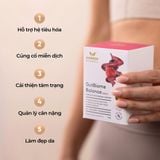 Bột Men Vi Sinh Harker Herbals GutBiome Balance: Giải Pháp Toàn Diện Cho Đường Ruột Khỏe Mạnh