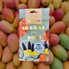  Chocolate Coated Mango 