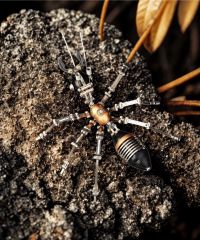  Bộ lắp ráp mô hình kim loại kiến cơ khí màu đỏ Zero Plain ANTM 