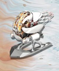  Ốc Nautilus JIXIE-NAU.0537-W-E2 