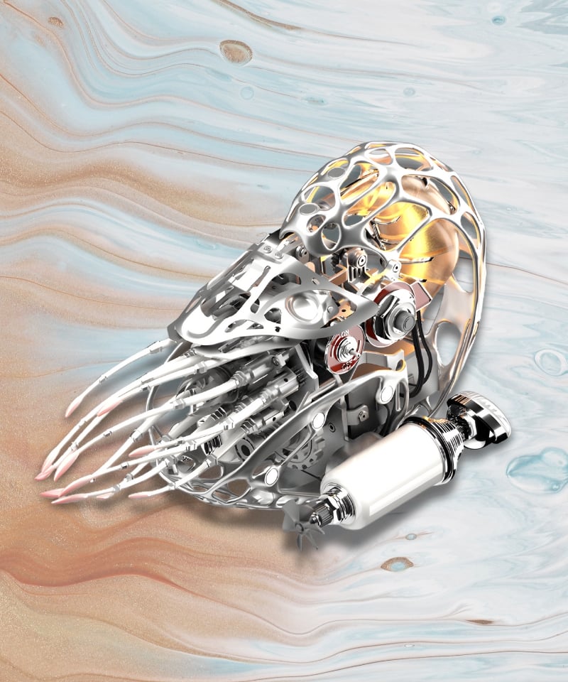  Ốc Nautilus JIXIE-NAU.0537-W-E2 