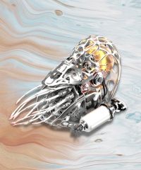  Ốc Nautilus JIXIE-NAU.0537-W-E2 