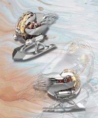  Ốc Nautilus JIXIE-NAU.0537-W-E2 