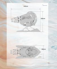  Ốc Nautilus JIXIE-NAU.0537-W-E2 