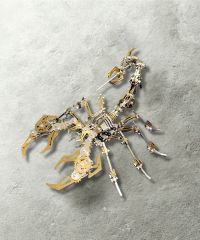  Bộ lắp ráp mô hình kim loại bọ cạp màu vàng Zero Plain-LLCXH2021 