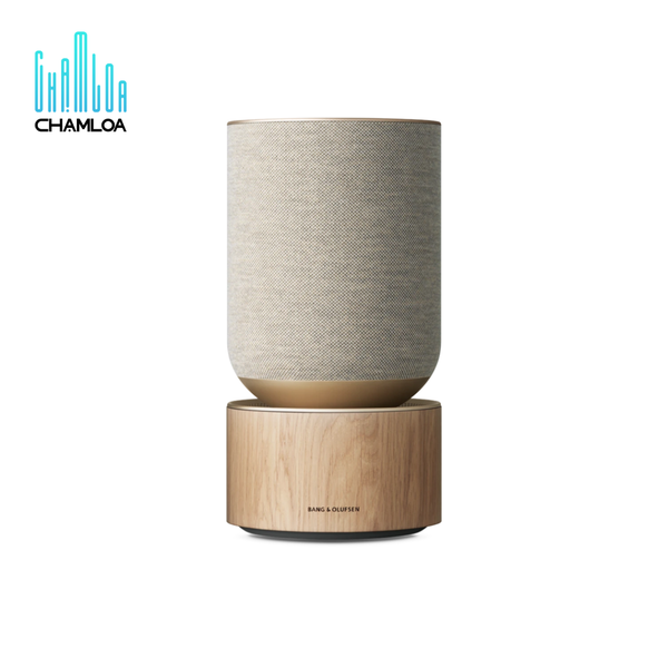 Loa Bang & Olufsen Beosound Balance