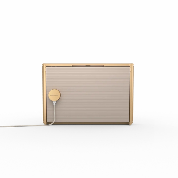 Loa Bang & Olufsen Beosound Level