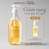 Dầu gội gừng Namcharm - Từ tinh dầu thật, không silicone, không sulfate, làm sạch dịu nhẹ, giảm gàu, giảm rụng tóc 300ml