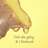 Dầu gội gừng Namcharm - Từ tinh dầu thật, không silicone, không sulfate, làm sạch dịu nhẹ, giảm gàu, giảm rụng tóc 300ml