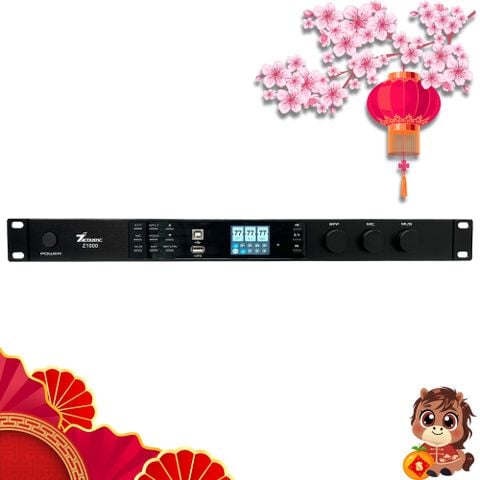 Vang số 7Acoustic Z1000