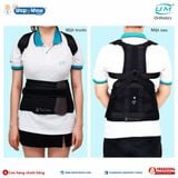  Đai lưng hỗ trợ cột sống (Taylor) UM A-04 