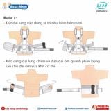  Đai lưng hỗ trợ cột sống (Taylor) UM A-04 