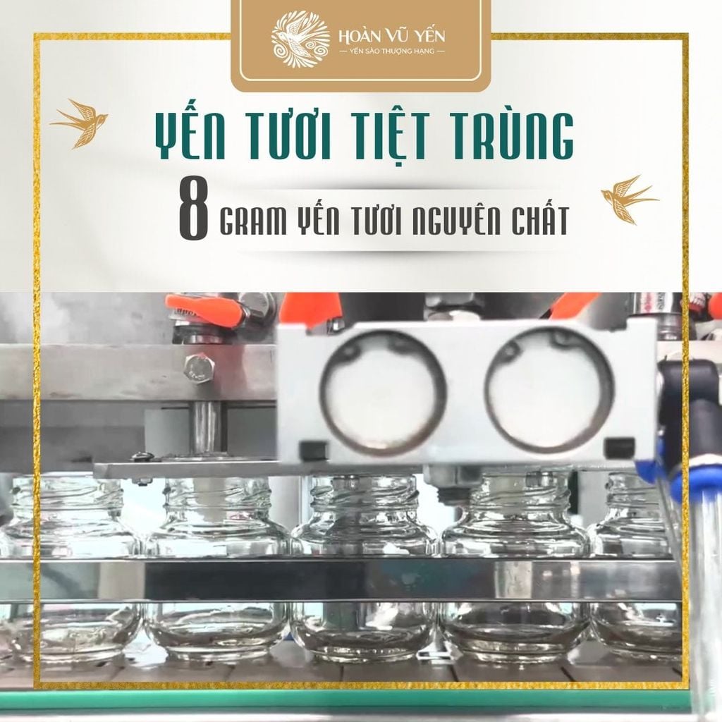 Yến Tươi Tiệt Trùng Hoàn Vũ Yến 75ml Chứa 8g Yến tươi Nguyên Chất - Tăng Cường Sức Khỏe