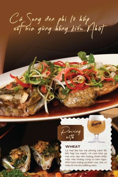  Cá Song đen phi lê hấp Sốt Bia gừng hồng kiểu Nhật 